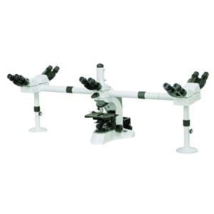 Five Head Observation Optical Bridge