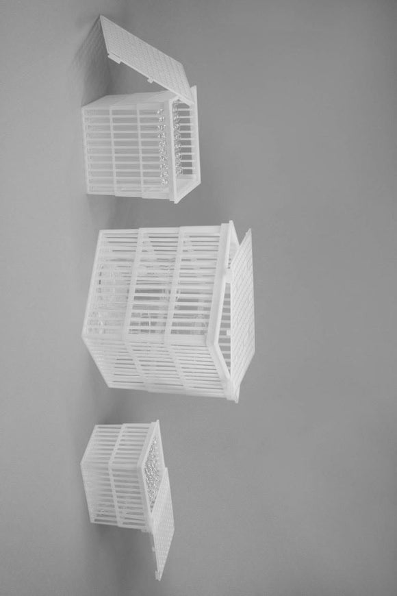 BASKET,PP,TEST TUBE,5-3/4X4-13/16X4-1/3