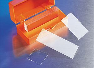 2980-244 24x40mm Rectangular #1½ Cover Glas