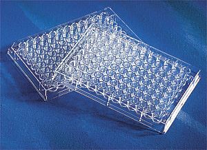 3635 95 Well Clear Flat Bottom UV-Transparent Microplat