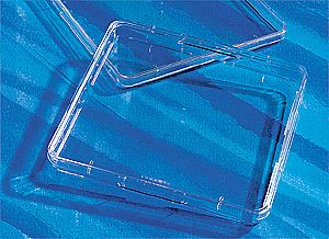 431110 500cm  Square Dish, Tissue Culture-Treated , Steri