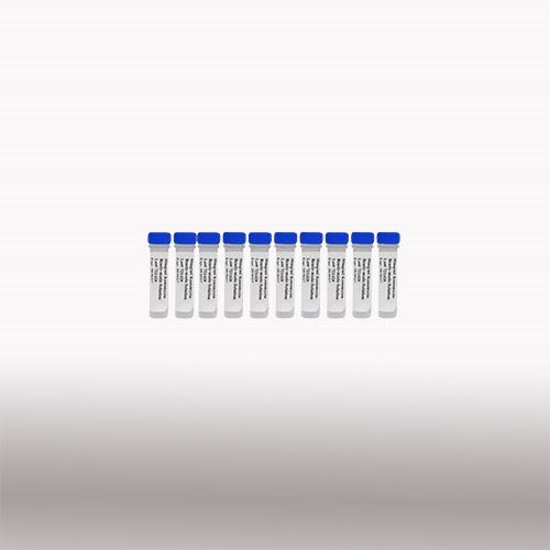 50mg/ml Kanamycin ready-made