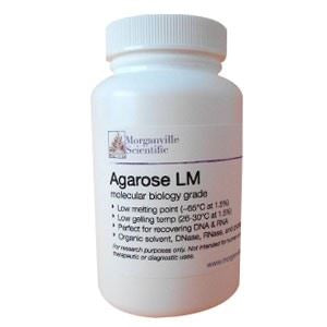Agarose LM, Low Melting, Molecular biology Grad,10