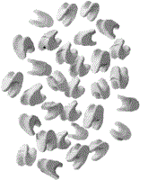 Saddles, Berl, 1000cc,