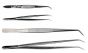 Forceps, Dissecting, Curved, 4