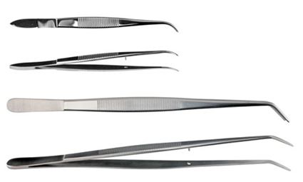Forceps, Dissecting, Curved, 8