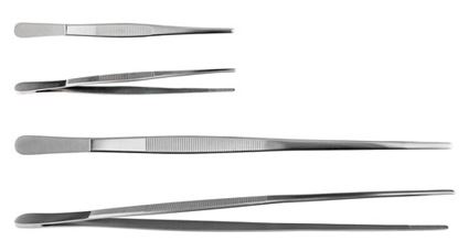 Forceps, Specimen, Straight, 1