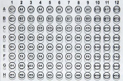 Well Locator, Plastic, White,