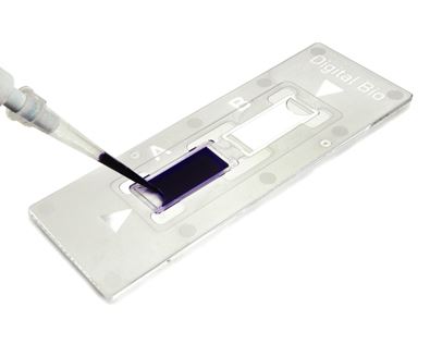 Disposable Hemocytometer,