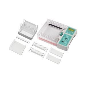 Small gel tray set (12.5 x 6cm), pk of 1