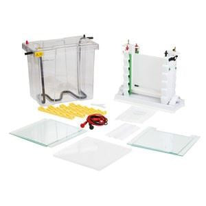Enduro VE20  Vertical Electrophoresis System ( 20