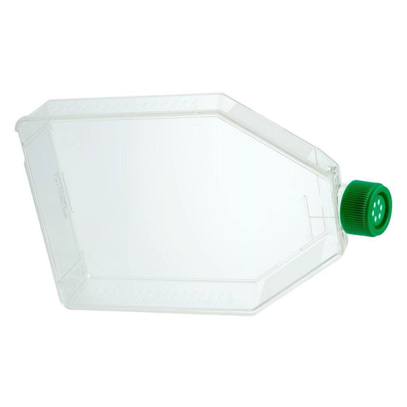 300cm2 Tissue Culture Flask
