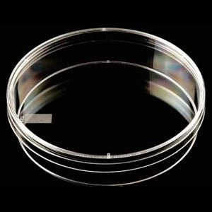 Deep Mono Slippable Petri Dish 100 X 20 (20/Sieeve