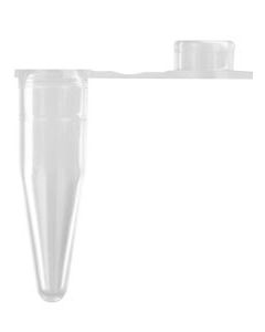 0.2mL Thin Wall PCR Tubes with Flat Cap, Clear, No