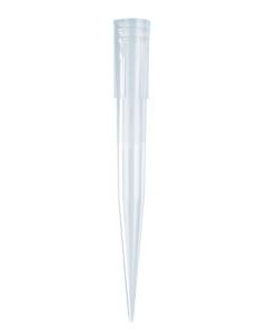 1000uL Pipet Tips, Bevelled, Blue, Non-Sterile, Bu