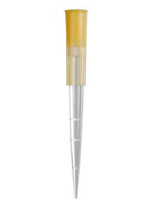 200uL Gentle Fit Filter Pipet Tips, Clear, Sterile